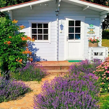 Chalet Luxury Chalet With Pool, Sauna & Wifi